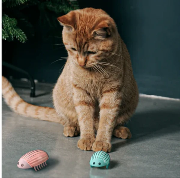 691ba8d5_digital-beetle