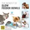 691bb942_premium-stainless-steel-double-pet-bowl-set-2-in-1-food-water-feeder-for-cats-and-dogs-non-slip-feeding-station
