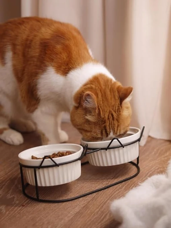 691bbea5_ceramic-bowls