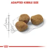 5cfe6db5_royal-canin-indoor-7-new-1-5kg