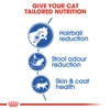 5cfe70b7_royal-canin-indoor-long-hair-adult-dry-cat-food-2kg