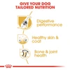 5d022e08_royal-canin-german-shepherd-adult-3kg