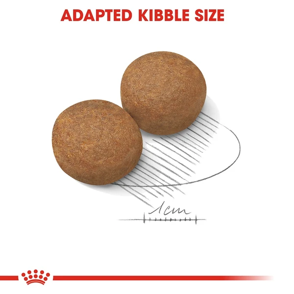 5d0375eb_royal-canin-maxi-adult-dry-food-4kg