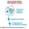 5d0376e3_royal-canin-maxi-puppy-food-4kg