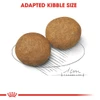 5d038b7d_royal-canin-medium-adult-15-kg