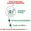 5d0b9ad1_royal-canin-mini-adult-dry-food-4kg