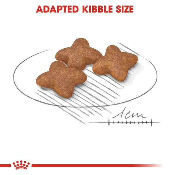 5d0b9aeb_royal-canin-mini-adult-dry-food-4kg