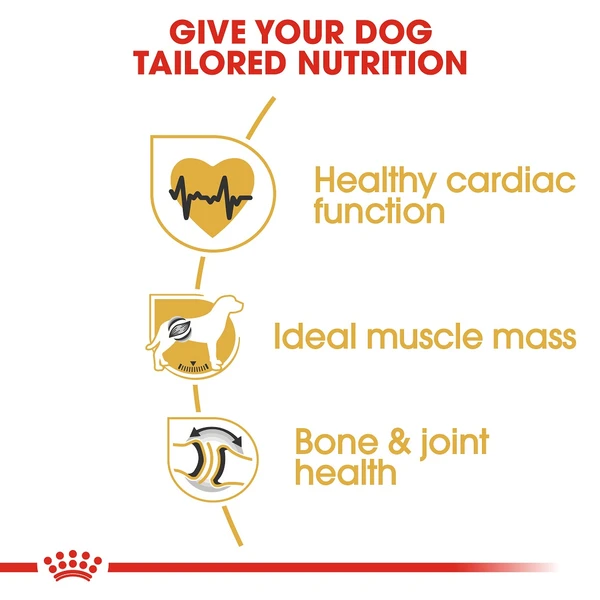5d0ba286_royal-canin-rottweiler-dry-food-17kg