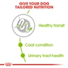 5d0cb4e5_royal-canin-x-small-adult-1-5-kg