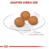 5d0cb4e5_royal-canin-x-small-adult-1-5-kg