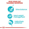 5d10d1ac_royal-canin-urinary-care-gravy-85g