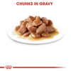 5d10d1ac_royal-canin-urinary-care-gravy-85g