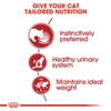 5d120a57_royal-canin-instinctive-loaf-85g