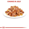 5d122c5e_royal-canin-kitten-instinctive-jelly-gelatina-gele-85g