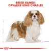 5d284af0_royal-canin-cavalier-king-charles-3kg