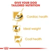 5d284af0_royal-canin-cavalier-king-charles-3kg