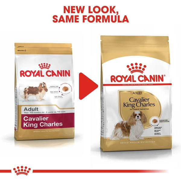 5d284b08_royal-canin-cavalier-king-charles-3kg