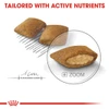 5d284ff6_royal-canin-mini-exigent-3-kg