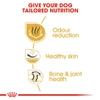 5d28526b_royal-canin-bulldog-adult-3-kg