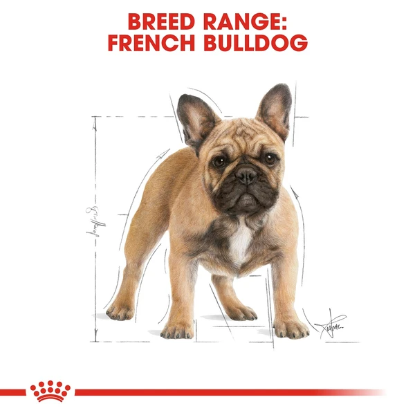 5d2855a5_royal-canin-french-bulldog-adult-3-kg