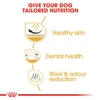 5d2858bd_canin-shih-tzu-adult-1-5kg