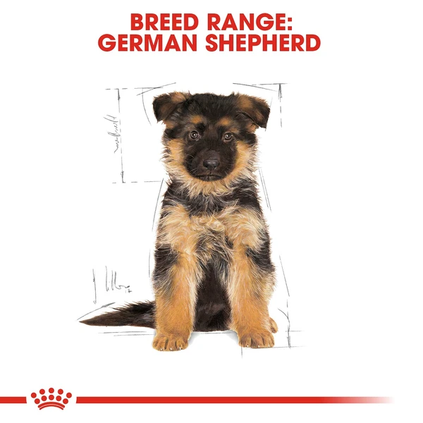 5db6df14_royal-canin-german-shepherd-puppy-dry-food-3kg