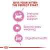 5ddfdb88_royal-canin-babycat-dry-food-4-kg