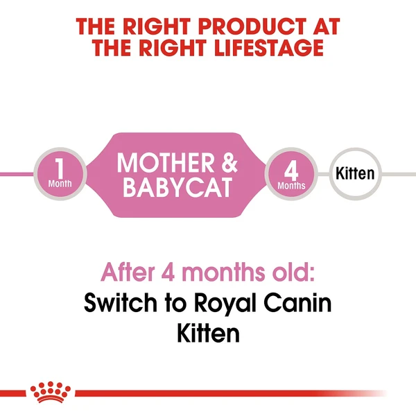5ddfdb88_royal-canin-babycat-dry-food-4-kg