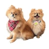 Petmoda Dog & Cat Bandana Small - Donuts