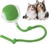 Interactive Smart Pet Toy Rolling Ball, Electric Toy Balls for Indoor Cats & Dogs
