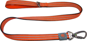 DOCO VARIO Nylon Dog Leash with Reflective Thread Large (2.5 X 180cm)
