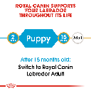 Royal Canin Labrador Retriever Puppy Dry Food 3kg