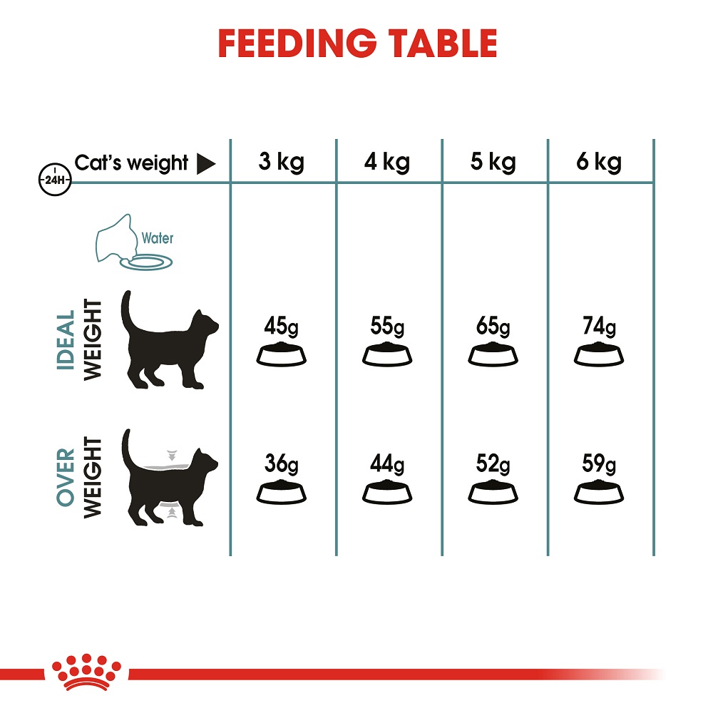 Royal Canin Intense Hairball Dry Cat Food 400 g