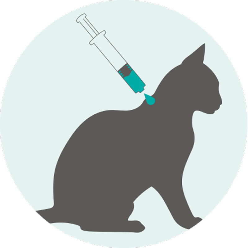Broadline Spot-On Solution for Small Cats ( up to 2.5Kg ) X 1 Dose