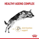Royal Canin German Shepherd Adult 5+ Dry Dog Food 12 Kg