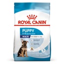 Royal Canin Maxi Puppy (16 KG) – Dry food for large dogs – Adult weight from 26 to 44 KG. From 2 to 15 months.
