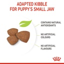 Royal Canin Mini Puppy Dry Food 2kg 