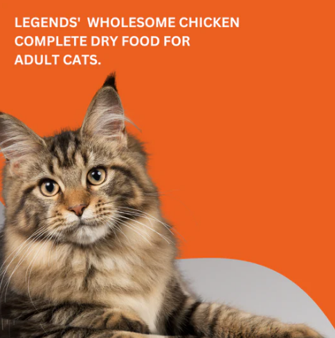Legends Wholesome Chicken Adult Cats Dry Food 10 Kg