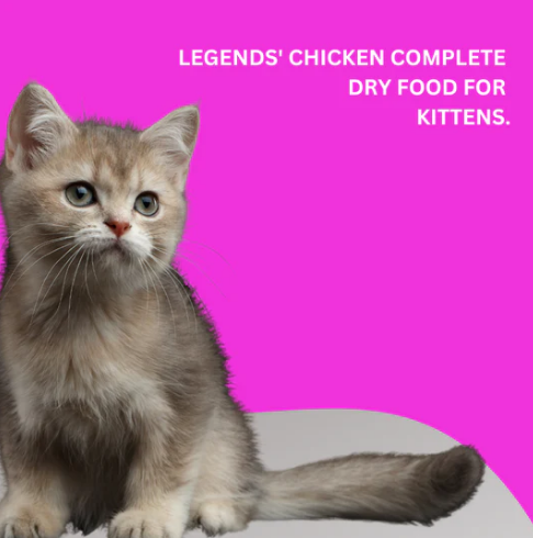 Legends Kitten Cat Dry Food With Chicken 3 Kg