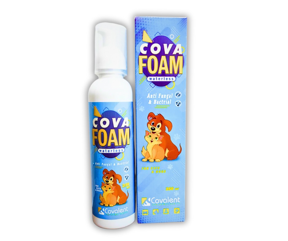 Covalent Foam Waterless Anti Fungal & Bacterial 250 ml 