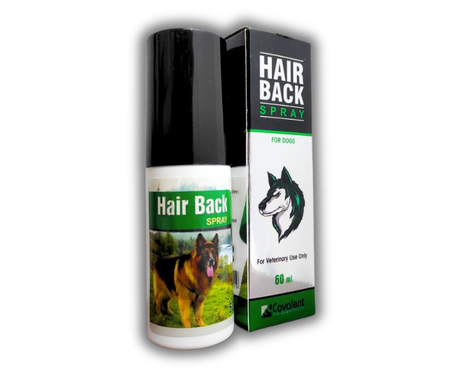 Covalent Hair Back Spray For Dog 60 ml