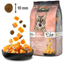 Leonardo Adult Grain Free Salmon Cat Dry Food