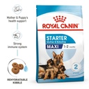 Royal Canin - Maxi Starter Dry Food 15kg 