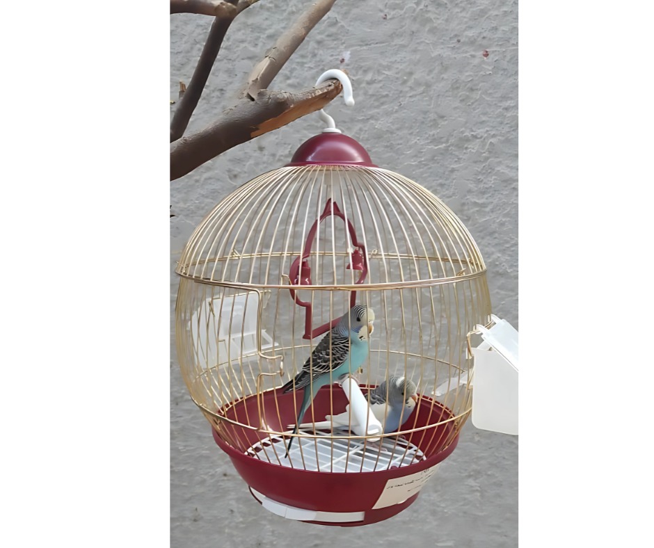  Bird Cage Lantern Shape