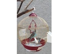  Bird Cage Lantern Shape