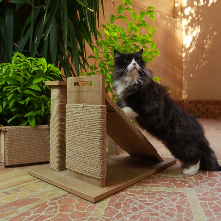 Petmoda Scratch Cat Activity Center Cat Scratcher 3 in 1 With Catnip 40*50*41 cm