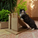 Petmoda Scratch Cat Activity Center Cat Scratcher 3 in 1 With Catnip 40*50*41 cm