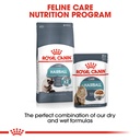 Royal Canin Intense Hairball Dry Cat Food 2kg