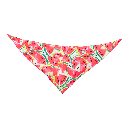 Petmoda Pet Bandana Large - Watermelon