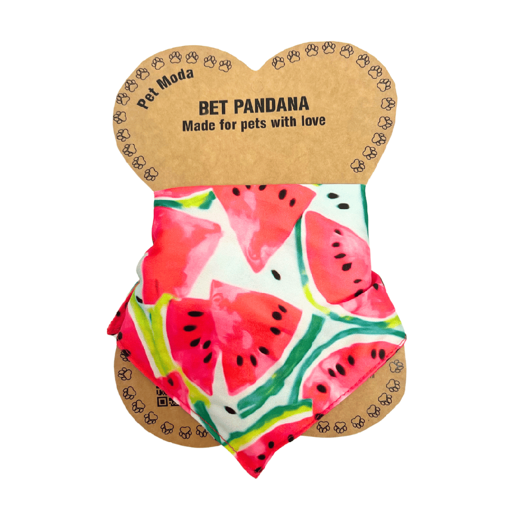 Petmoda Pet Bandana Large - Watermelon